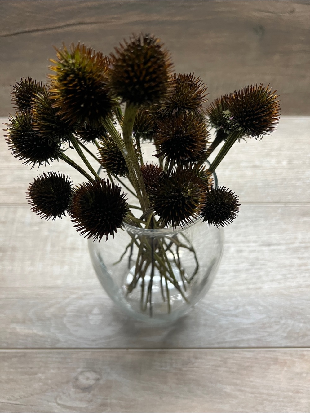 Dried Coneflower Stem Bouquet - Brown Accent
